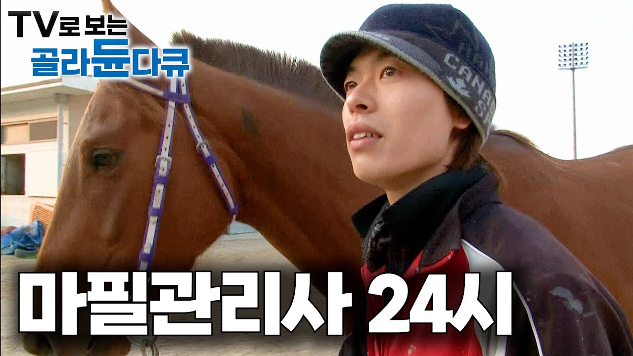 잘 키운 말 하나 수십 명을 먹여살린다. 신의 직장이라는 마필관리사 24시｜극한직업｜#골라듄다큐