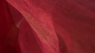 IMG 3222