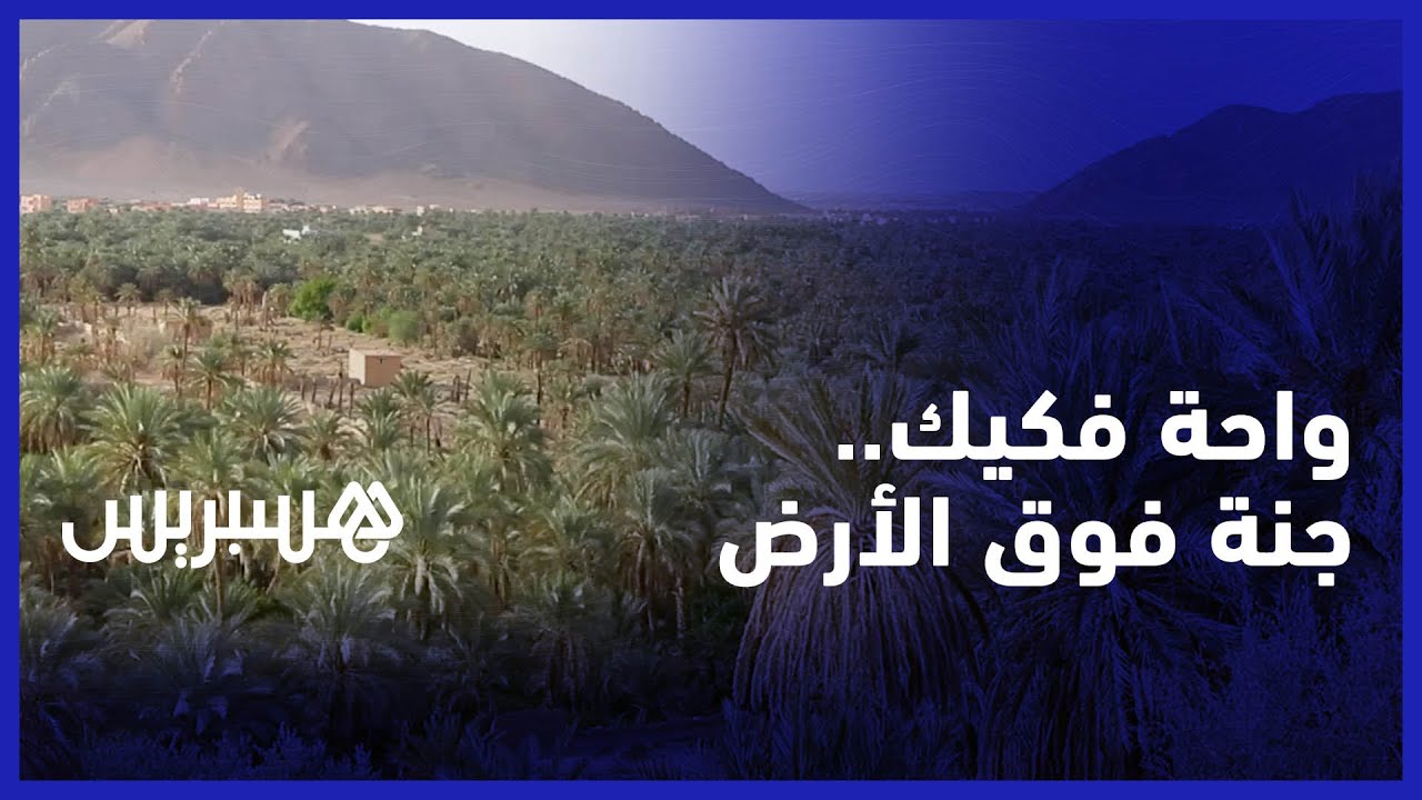 اكتشف جمال واحة فكيك .. جنة فوق الصحراء المغربية