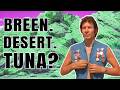 Neil Breen's Craziest Masterpiece! Double Down Review