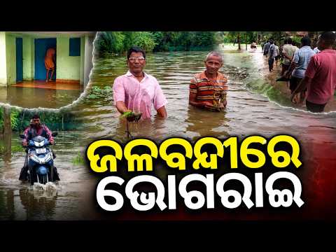 Bhograi Waterlogging Crisis: 10 Panchayats Submerged For 20 Days In Balasore | Argus News