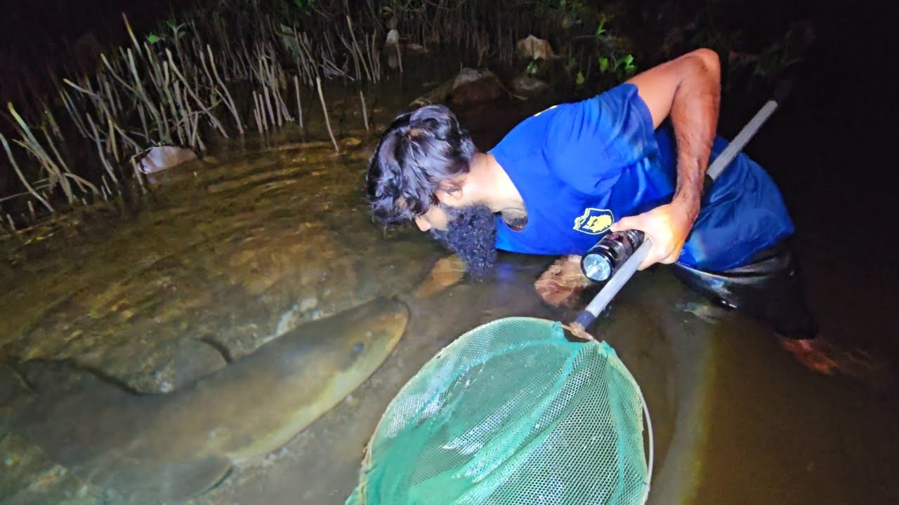 രാത്രി ചുണ്ടൻ വേട്ട🦈💥Night fishing, Traditional Fishing|Village Fishing,Fishing Malayalam,Fishing