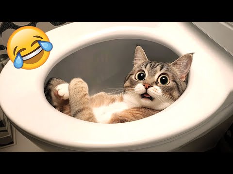 Funniest Pets 2025 😂 Very Funny Cats and Dogs Videos 😜 PART 23
