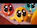 Where's Chicky? Funny Chicky 2022 🌈 LITTLE CHICKIES | Cartoon in English for Kids | New episodes