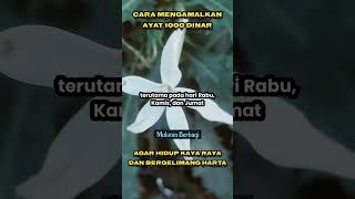 Cara Mengamalkan Ayat 1000 Dinar, agar hidup Kaya Raya dan Bergelimang Harta. Cara Mengamalkan Ayat 1000 Dinar, agar hidup Kaya Raya dan Bergelimang Harta.