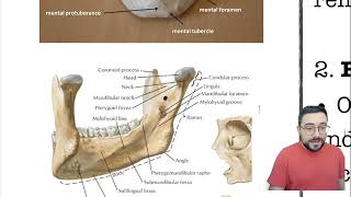 Anatomy of the Mandible - تشريح عظمة الفك السفلي