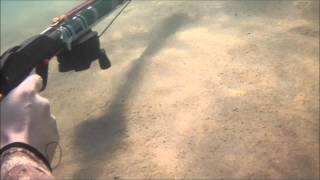 Prove Balistiche Roller Autocostruito