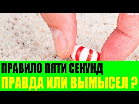 Правило пяти секунд правда или вымысел?