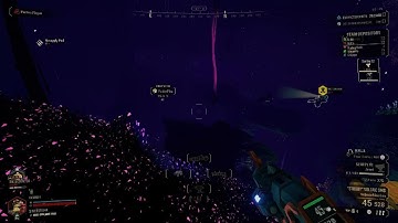 My fester flea extermination services are unmatched