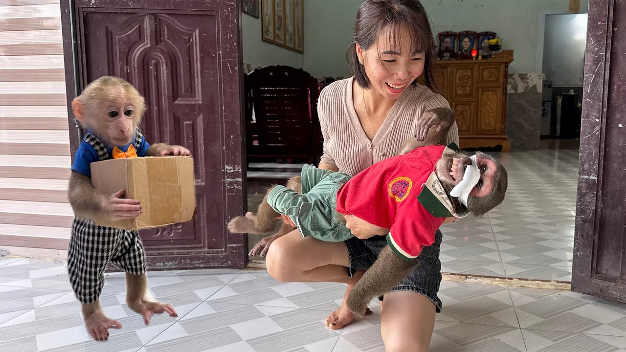 Baby Monkey and Mom Were Happy to See Abu Condition Had Improved!