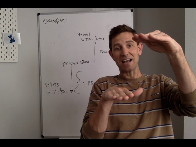 What is Consumer Surplus? What is Producer Surplus?
