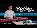 Strymon BigSky MX + Synths and Keys