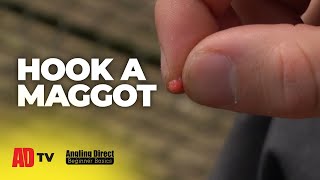 How To Hook A Maggot – Coarse Fishing Beginner Basic