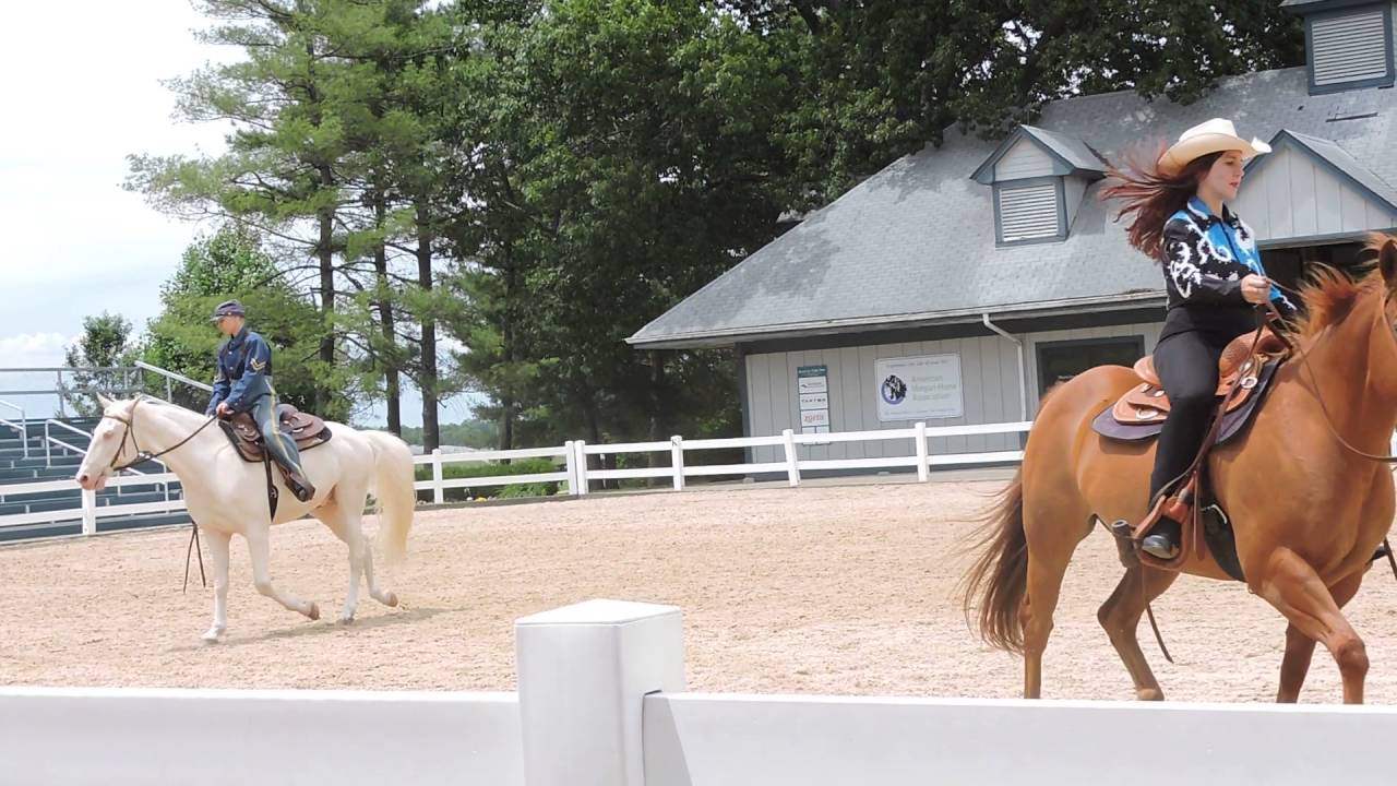 Breeds Barn Show climax at The Kentucky Horse Park in Lexington