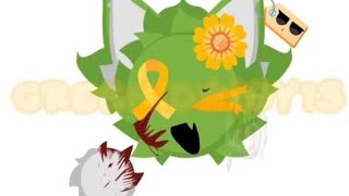 Green Orange Flower Emoji Cat?