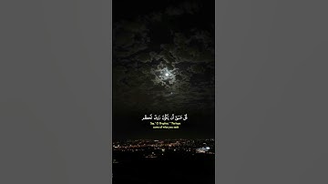 #قل_سيروا_في_الأرض #قران_كريم #قرآن🤍 #بصوت_شيخ_ياسر_الدوسري #تلاوة_خاشعة #اكسبلور #quran #fyp