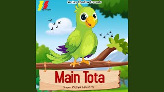 Main Tota screenshot 4