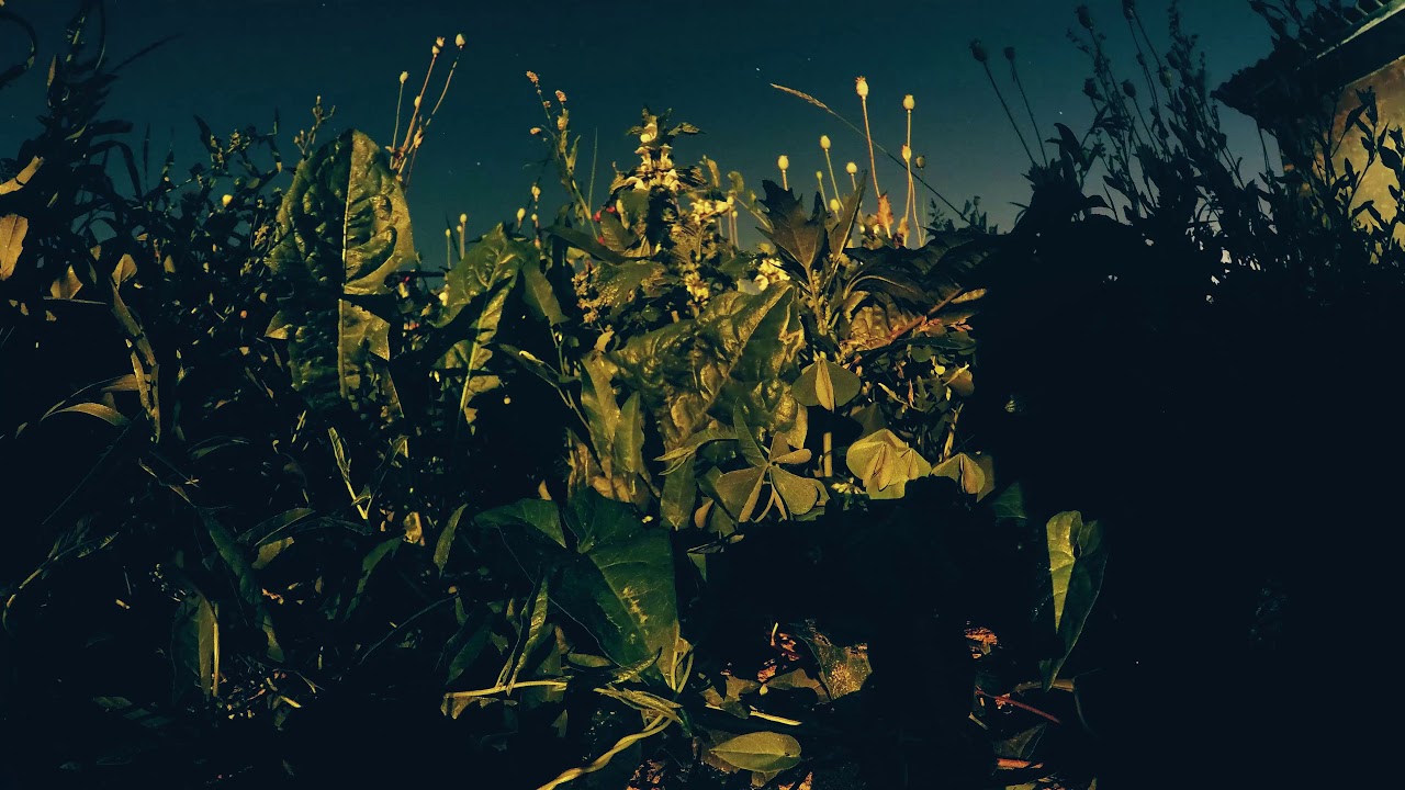 Съемка ночного неба с GoPro (nightlapse)