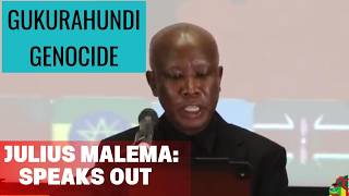 Julius Malema speaks out on gukurahundi genocide for the very first time