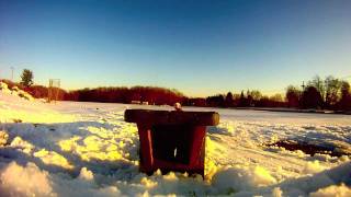 Backyard Jib