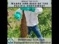 Inside The Hive: Wasps and Bees of The Pacific Northwest
