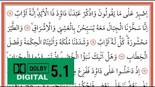 02021 Sâd Sûresi 17 - 26. Ayetler - Bünyamin Topçuoğlu - بونيامين توبكوغلو - (Yavaş Okuma)