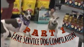 Fake service dog compilation part 1
