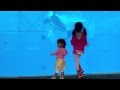 My Kids' Shamu Surprise
