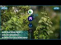How to Blur Image Background and Photo Editing in Lightroom | PhotoRoom Editing | Snapseed Editing