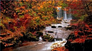 Autumn Forest Waterfall Puzzle Game Jigsaw Rompecabeza screenshot 5