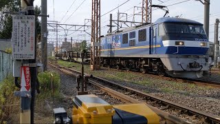JR貨物 EF210形313号機+日鐵チキ3B 臨貨[8090レ] 川崎新町駅通過！