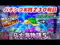 【パチンコ実践】P大海物語5【230戦目】