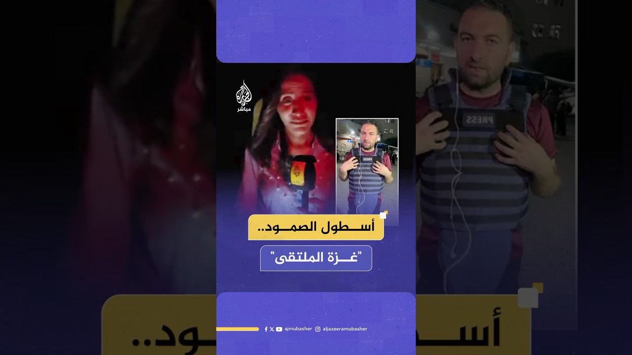 "صعبتها يا محمد".. على خط النار والبحر.. هل يمكن للضمير أن ينام ووجع غزة يتضاعف؟