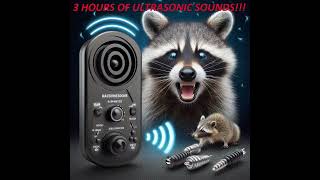 Raccoons and Rodents Repellent ULTRASONIC SOUNDS (3 HOURS)#Raccoonrepellentsounds #raccoon #racoon