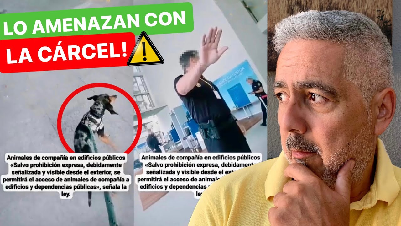 ESTO HA PASADO EN ESPAÑA con los PERROS por la NUEVA LEY 🚨► Empiezan los problemas 😱