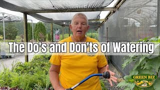 How to Water a New Plants | How to Water