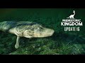 10 New Vivarium Species in Prehistoric Kingdom Update 16!