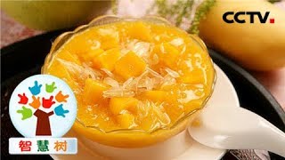 《智慧树》 果果美食屋：杨枝甘露 20180906 | CCTV少儿