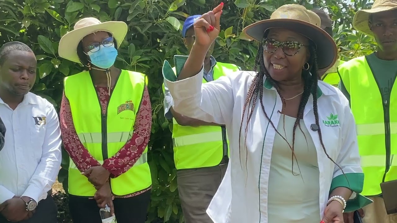 Грейс рассказывает о своем опыте выращивания авокадо на площади более 150 акров.