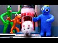 The Best Hamsterious Challenges 🐹 Hamster Escape From Rainbow Friends Monster