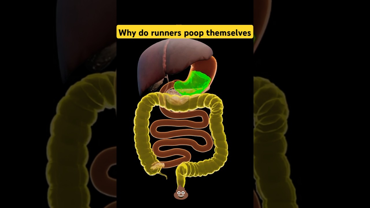 why-do-runners-sometimes-poop-themselves-facts-amazing-reality