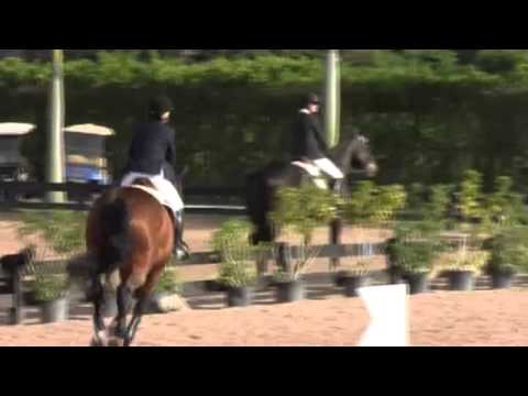 Video of BIJOU BLEU DE CATOPE ridden by LEE ANN INGRAM from ShowNet!