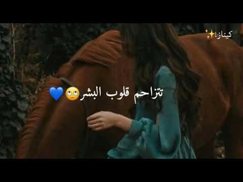 فرس فرس من حسنها الحسن انخرس