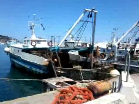 Video0020.mp4