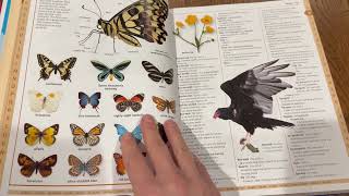 Merriam-Webster Children's Dictionary Review!