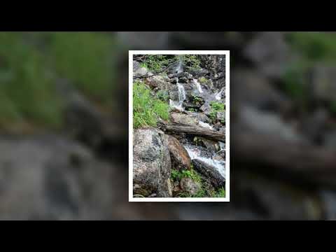 Радиалки в Ергаках