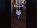 УРААА (сори за то что так долго не выходили видео) #roblox #dandysworld