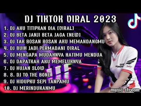 DJ TIKTOK TERBARU VIRAL 2023 - DJ BETA JANJI BETA JAGA