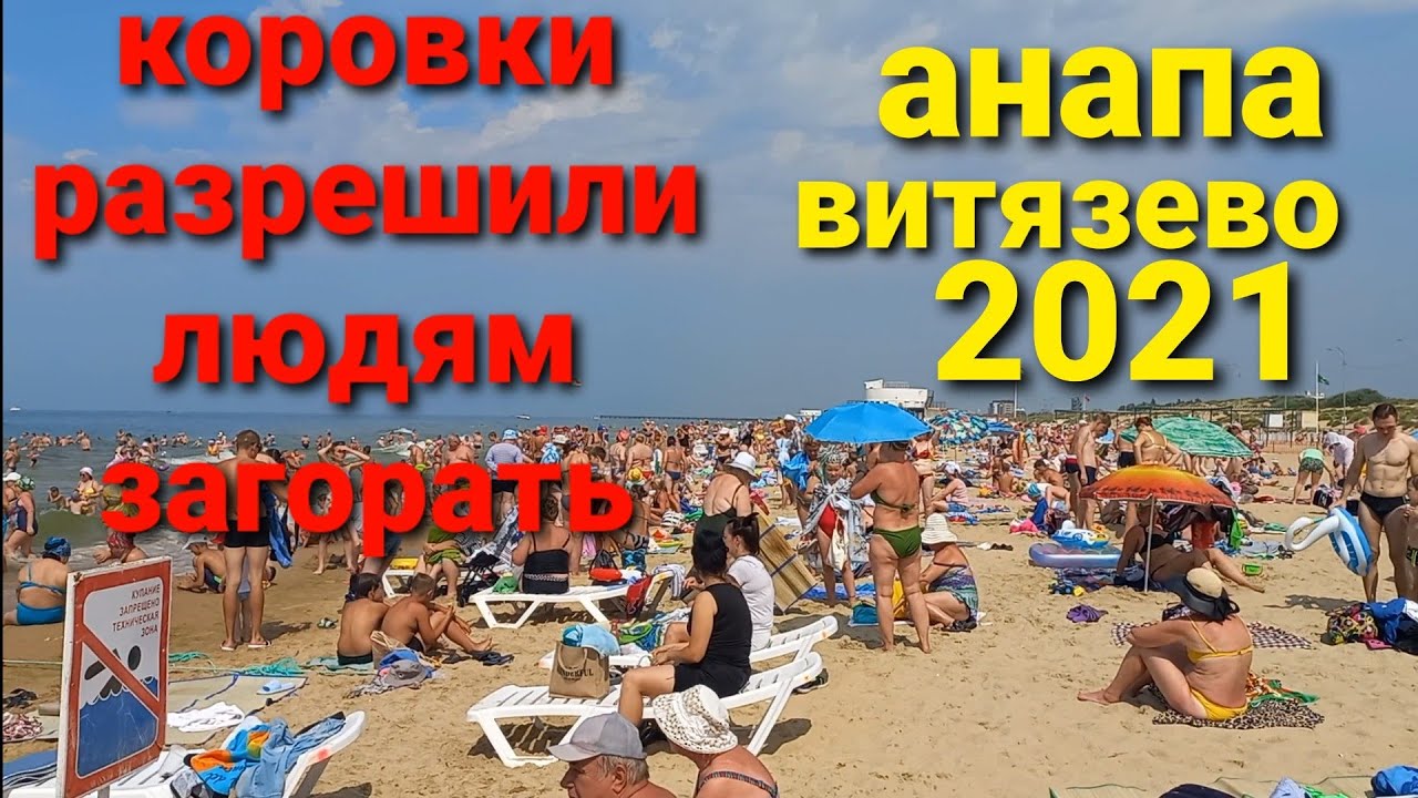Божьи коровки в анапе 2021 на пляже Божьи коровки в анапе 2021 на пляже