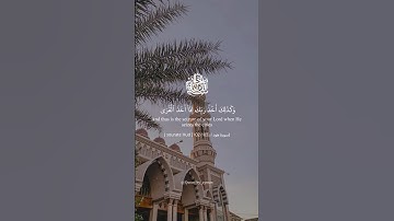 وكذلك أخذ ربك اذا اخذ القرى - سورة هود تلاوة فضيلة الشيخ ياسر الدوسري